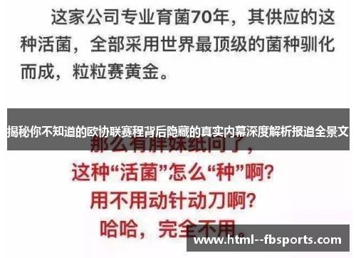 揭秘你不知道的欧协联赛程背后隐藏的真实内幕深度解析报道全景文 揭秘你不知道的欧协联赛程背后隐藏的真实内幕深度解析报道全景文